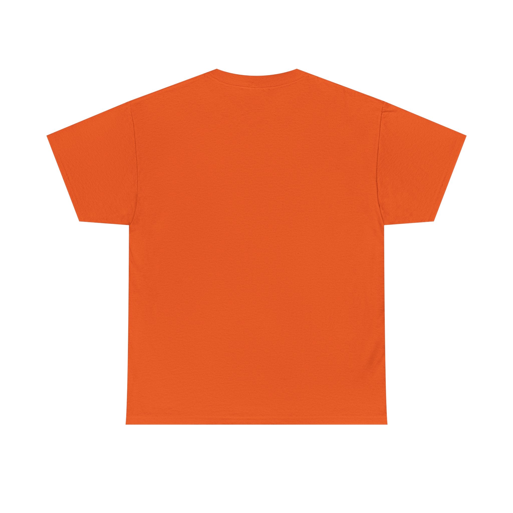 Skeena Orange Shirt Vibrant Unisex Heavy Cotton Tee with Artistic Print - Graphic Tee, Casual Wear, Gift Idea, Summer Style, Festival Top