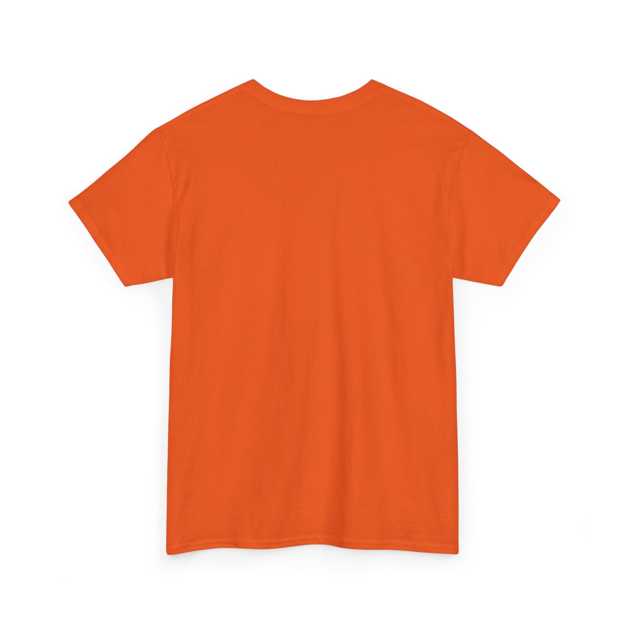 Skeena Orange Shirt Vibrant Unisex Heavy Cotton Tee with Artistic Print - Graphic Tee, Casual Wear, Gift Idea, Summer Style, Festival Top