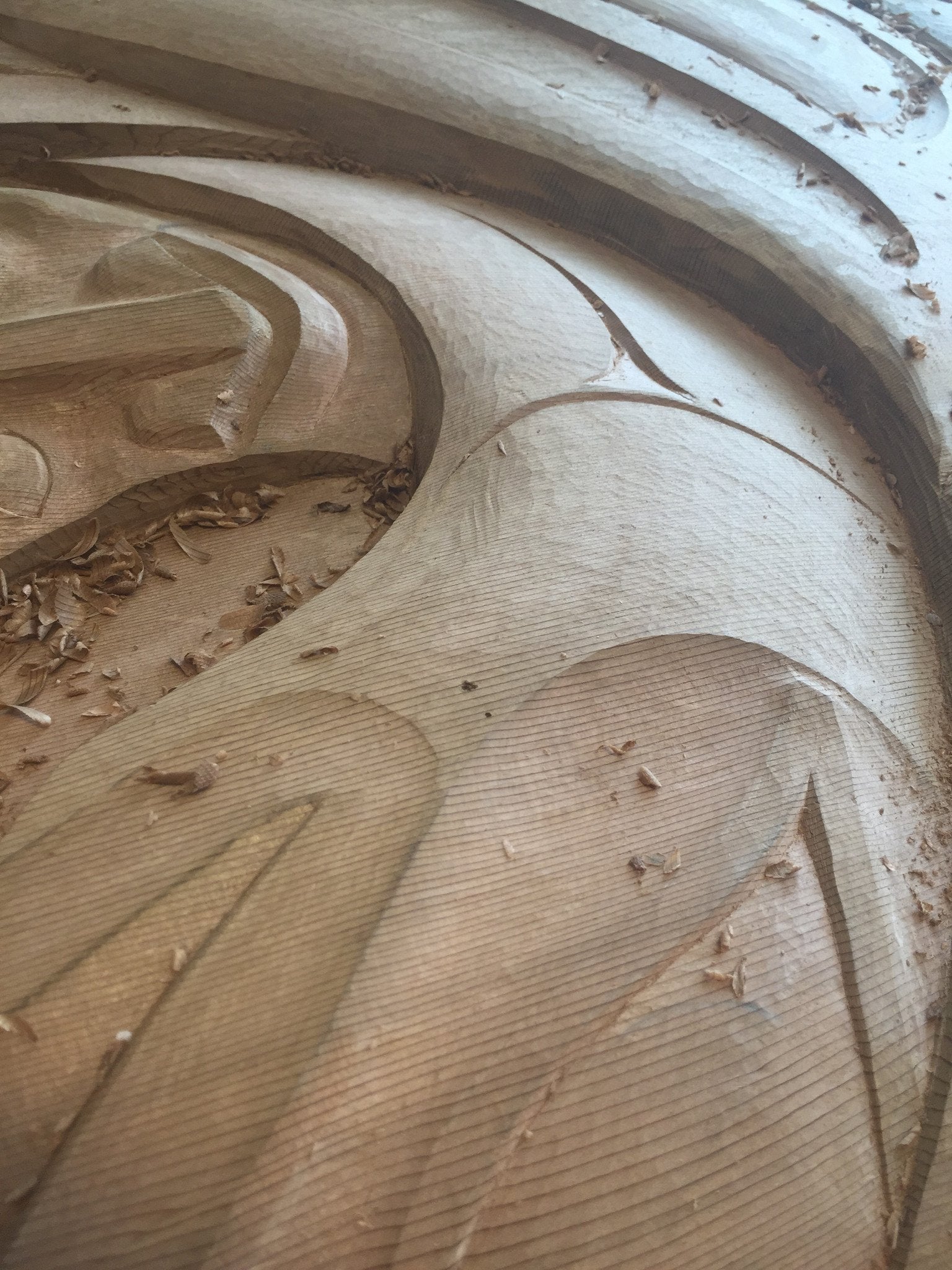 "Succession" 40" Cedar Carved Panel
