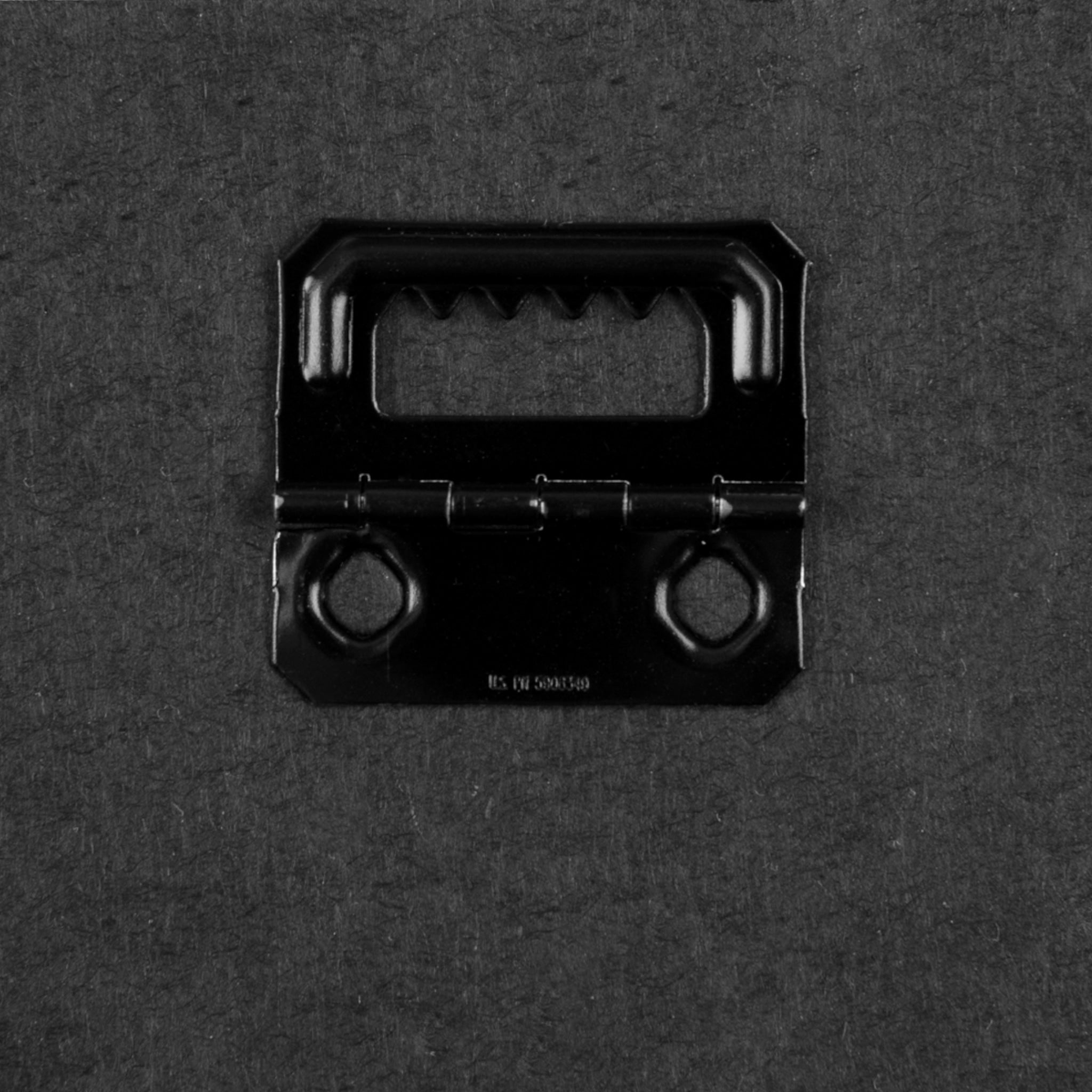 Winter Salmon Cycles on Canvas 2023